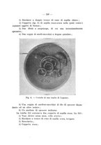 giornale/TO00219803/1943/unico/00000163