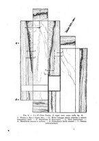 giornale/TO00219803/1944-1945/unico/00000038