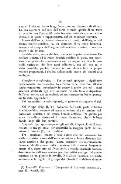 Archivio scientifico della Reale Società nazionale veterinaria