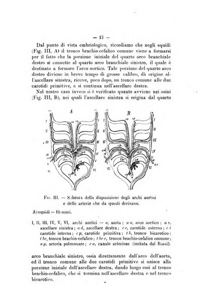 Archivio scientifico della Reale Società nazionale veterinaria