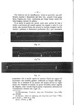 giornale/TO00306580/1911/unico/00000082