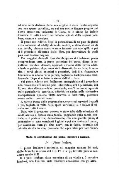 Archivio scientifico della Reale Società nazionale veterinaria