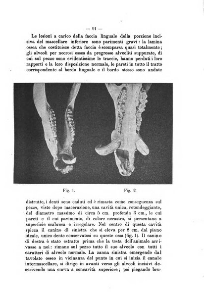 Archivio scientifico della Reale Società nazionale veterinaria