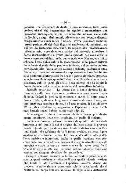 Archivio scientifico della Reale Società nazionale veterinaria