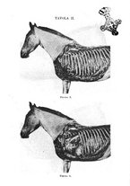 giornale/TO00306580/1911/unico/00000155