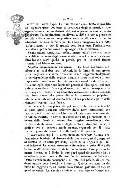 Archivio scientifico della Reale Società nazionale veterinaria