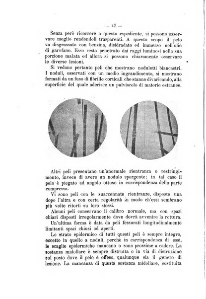 Archivio scientifico della Reale Società nazionale veterinaria