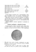 giornale/TO00306580/1912/unico/00000055