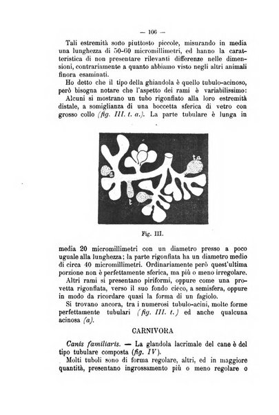 Archivio scientifico della Reale Società nazionale veterinaria