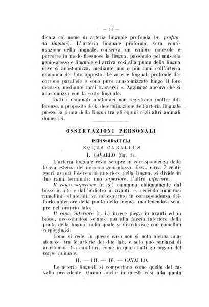 Archivio scientifico di medicina veterinaria