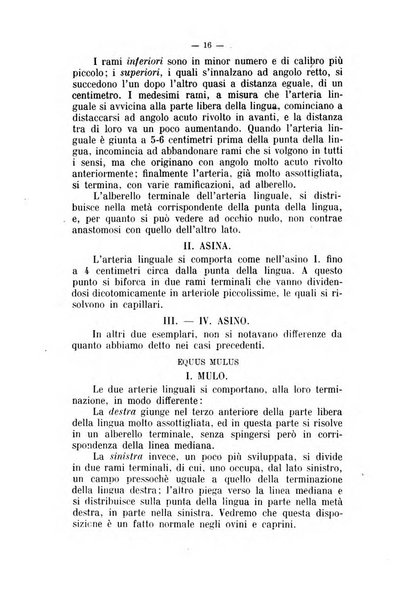 Archivio scientifico di medicina veterinaria