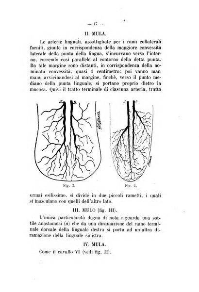 Archivio scientifico di medicina veterinaria