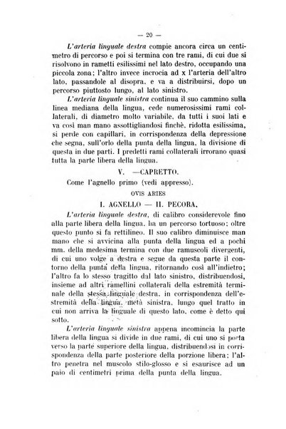 Archivio scientifico di medicina veterinaria