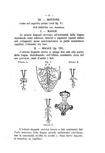 Archivio scientifico di medicina veterinaria