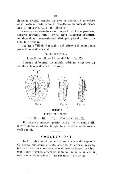 Archivio scientifico di medicina veterinaria