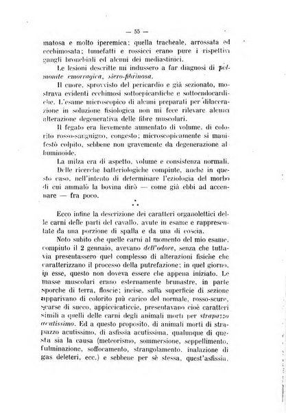 Archivio scientifico di medicina veterinaria