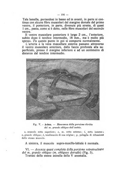 Archivio scientifico di medicina veterinaria