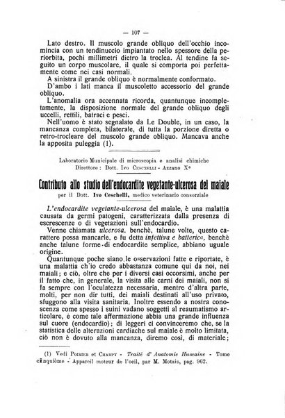 Archivio scientifico di medicina veterinaria