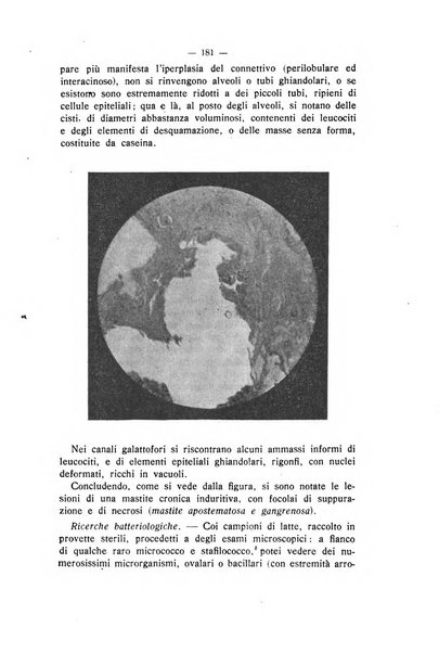 Archivio scientifico di medicina veterinaria