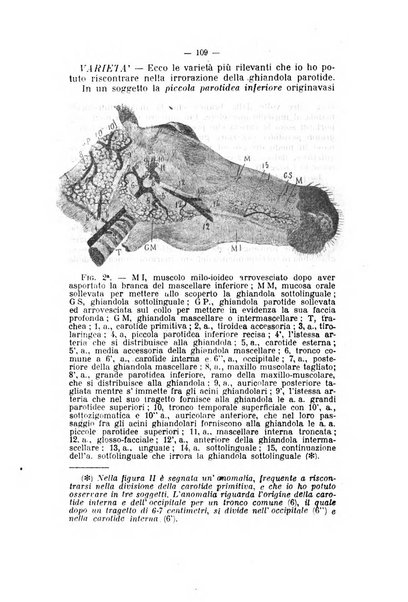 Archivio scientifico di medicina veterinaria