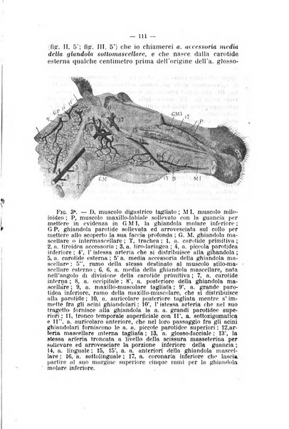 Archivio scientifico di medicina veterinaria