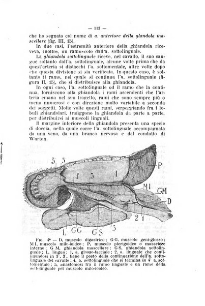 Archivio scientifico di medicina veterinaria