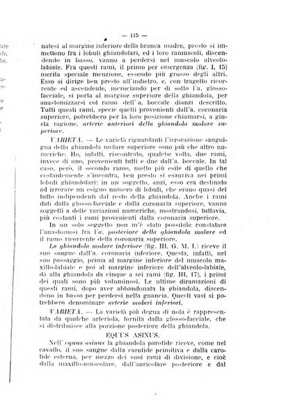 Archivio scientifico di medicina veterinaria