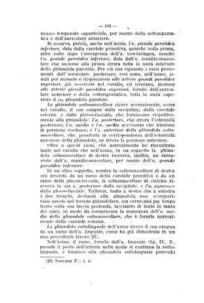 Archivio scientifico di medicina veterinaria