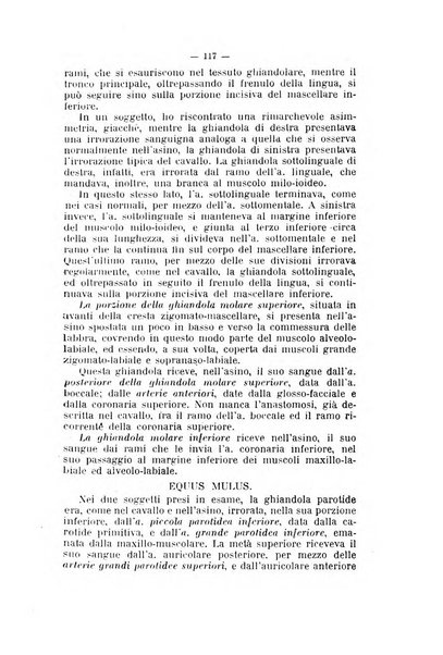 Archivio scientifico di medicina veterinaria