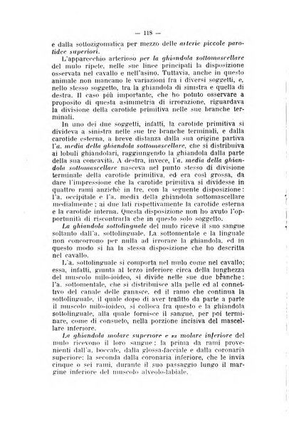 Archivio scientifico di medicina veterinaria