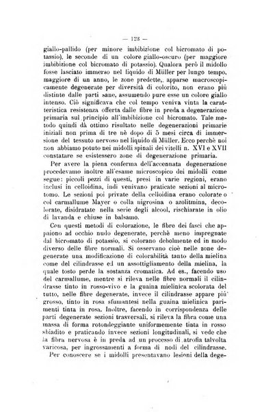 Archivio scientifico di medicina veterinaria