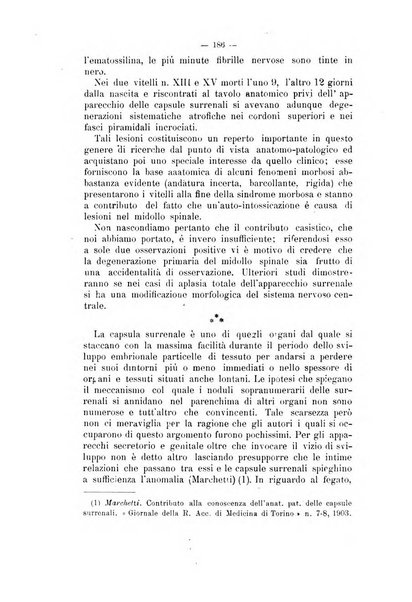 Archivio scientifico di medicina veterinaria