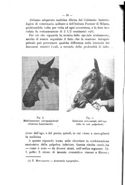 Archivio scientifico di medicina veterinaria