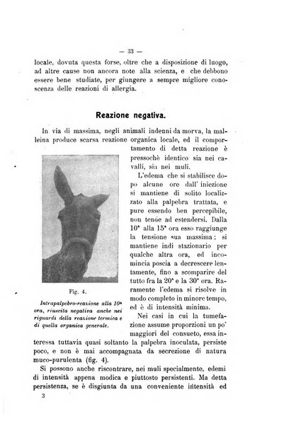 Archivio scientifico di medicina veterinaria