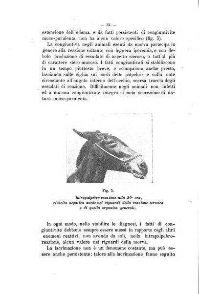 Archivio scientifico di medicina veterinaria