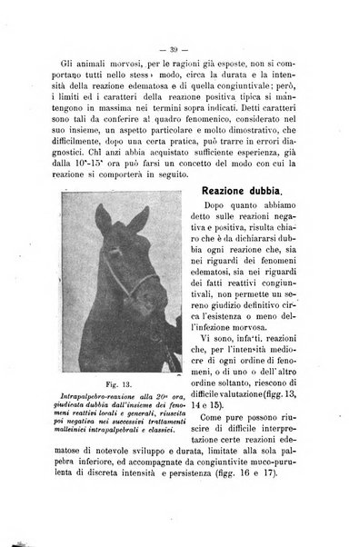 Archivio scientifico di medicina veterinaria