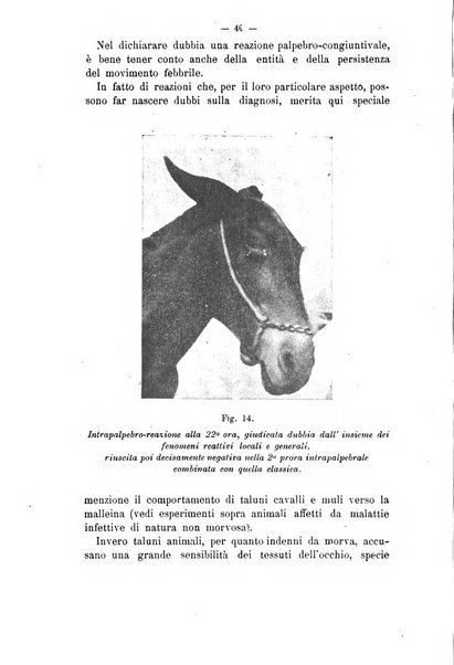 Archivio scientifico di medicina veterinaria