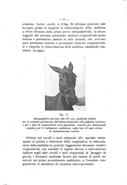 Archivio scientifico di medicina veterinaria