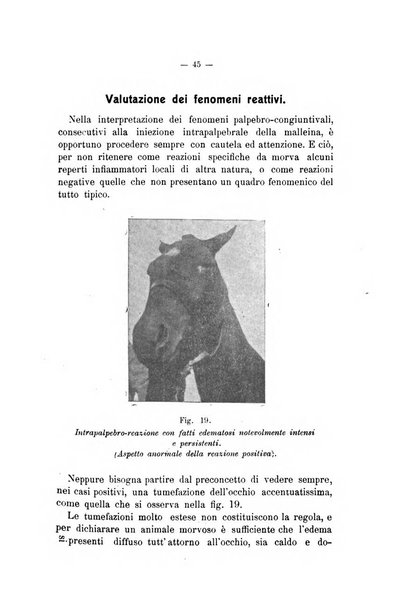 Archivio scientifico di medicina veterinaria