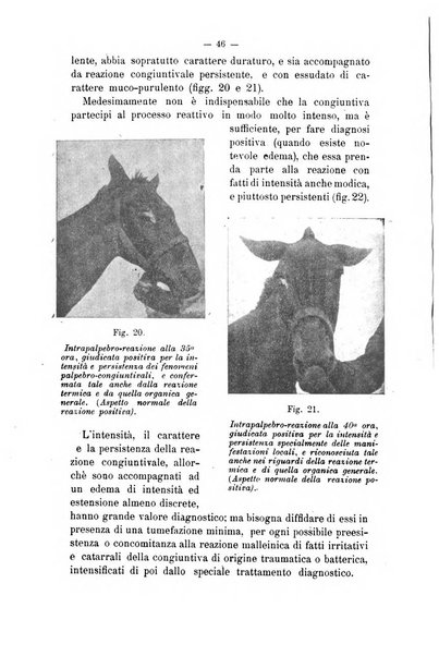 Archivio scientifico di medicina veterinaria