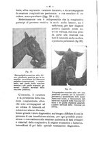 giornale/TO00306585/1916/unico/00000052