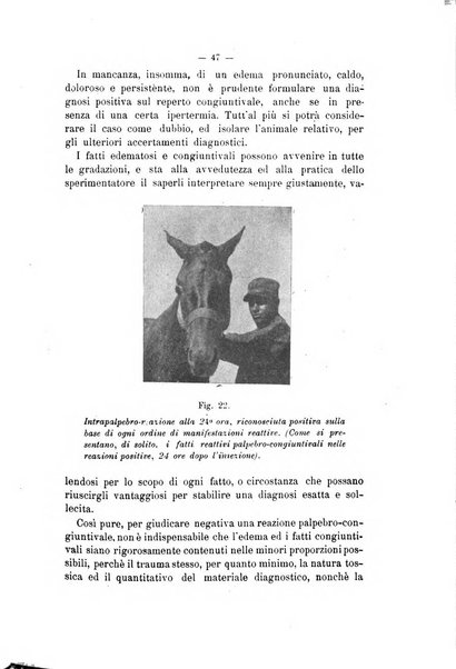 Archivio scientifico di medicina veterinaria