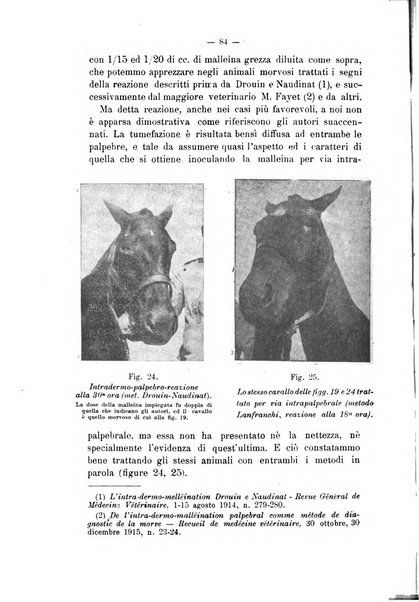 Archivio scientifico di medicina veterinaria