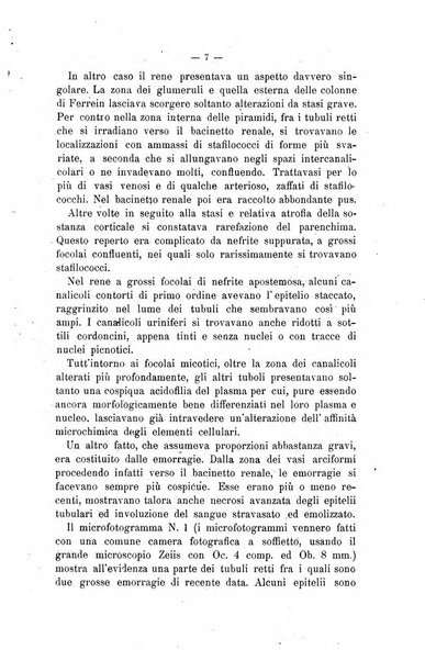 Archivio scientifico di medicina veterinaria