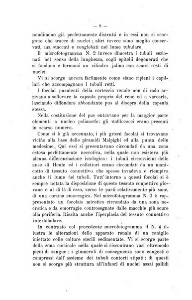 Archivio scientifico di medicina veterinaria