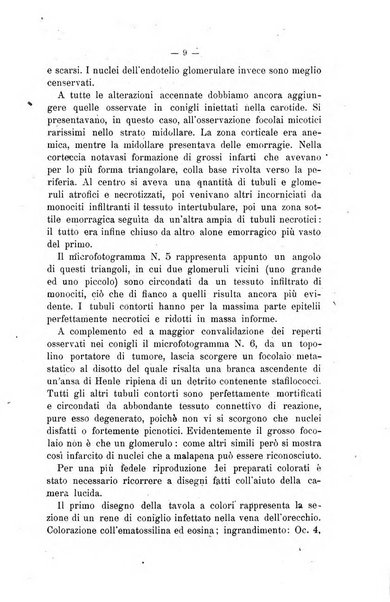 Archivio scientifico di medicina veterinaria