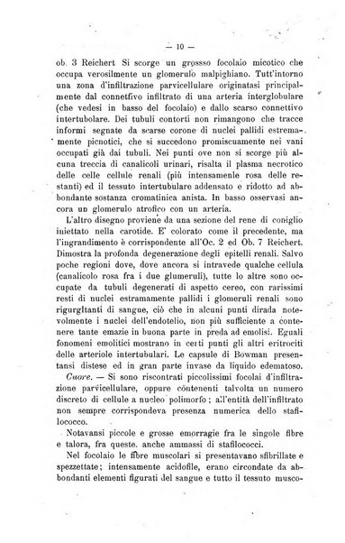 Archivio scientifico di medicina veterinaria