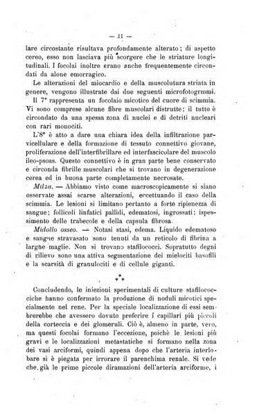 Archivio scientifico di medicina veterinaria