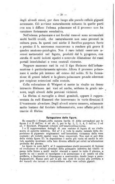 Archivio scientifico di medicina veterinaria