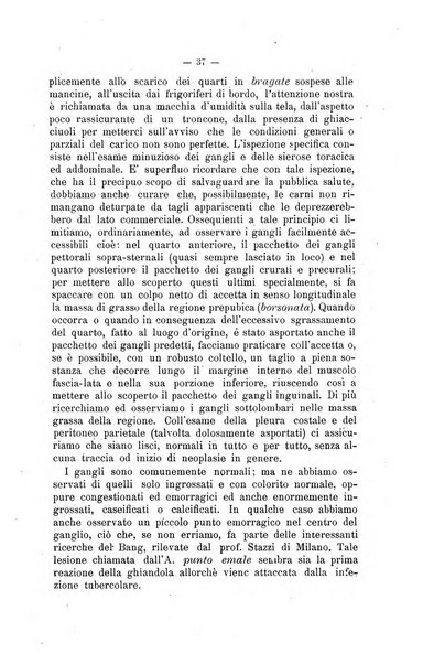 Archivio scientifico di medicina veterinaria